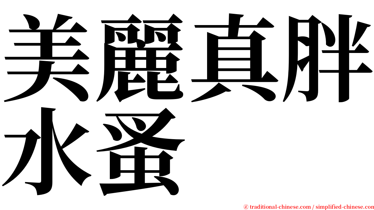 美麗真胖水蚤 serif font