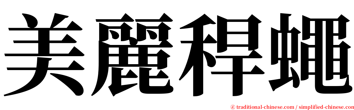 美麗稈蠅 serif font