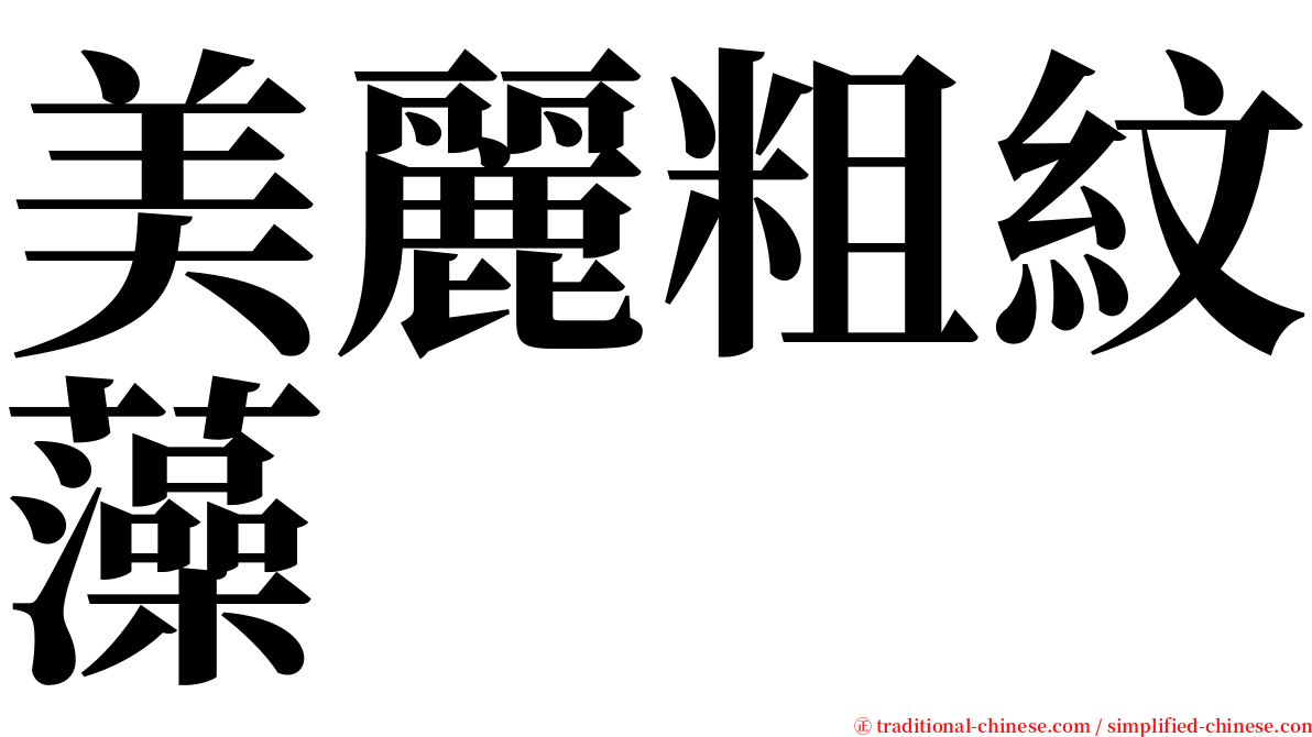 美麗粗紋藻 serif font