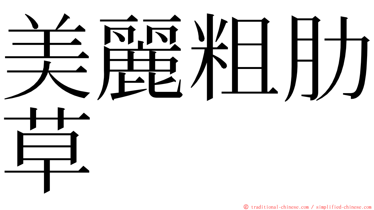 美麗粗肋草 ming font