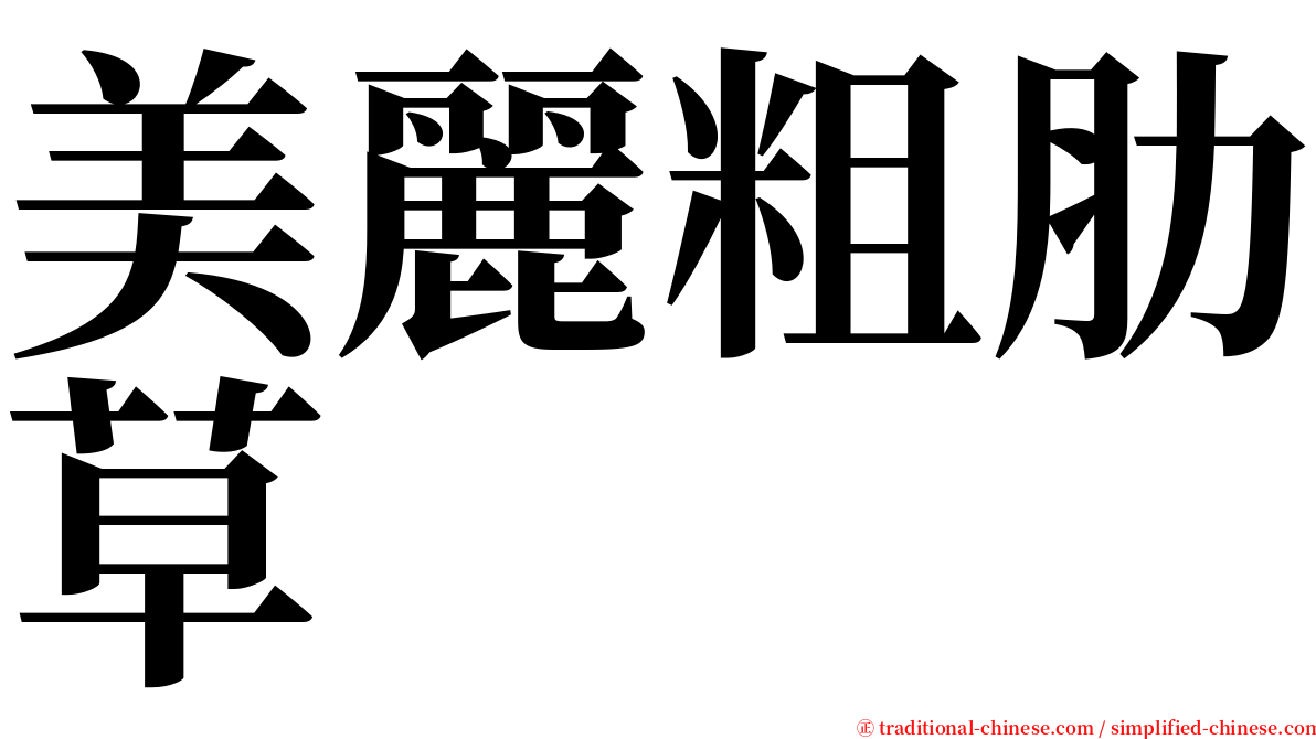 美麗粗肋草 serif font