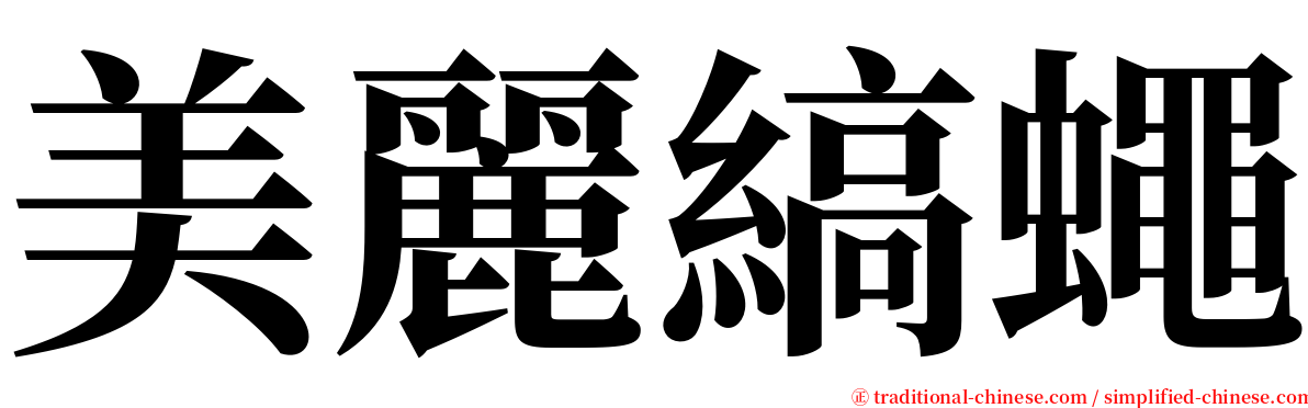 美麗縞蠅 serif font