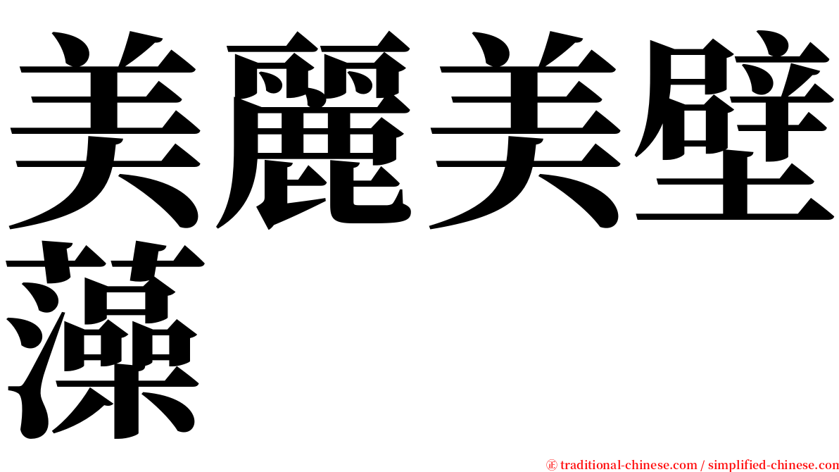 美麗美壁藻 serif font