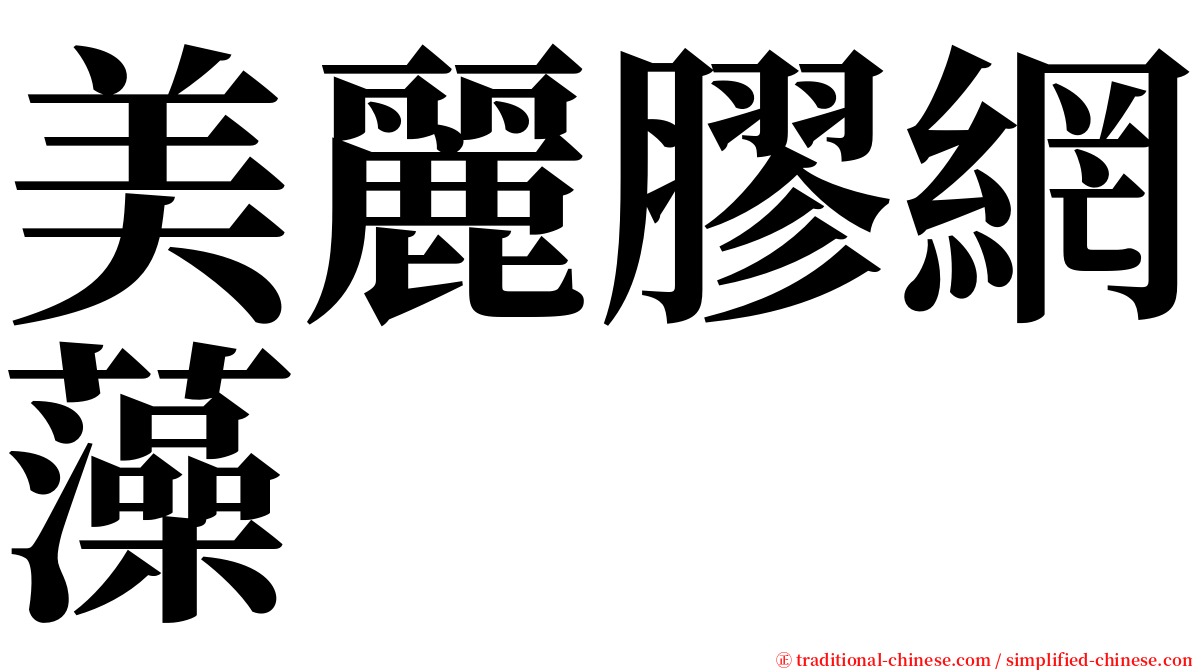 美麗膠網藻 serif font