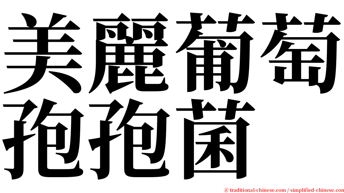 美麗葡萄孢孢菌 serif font