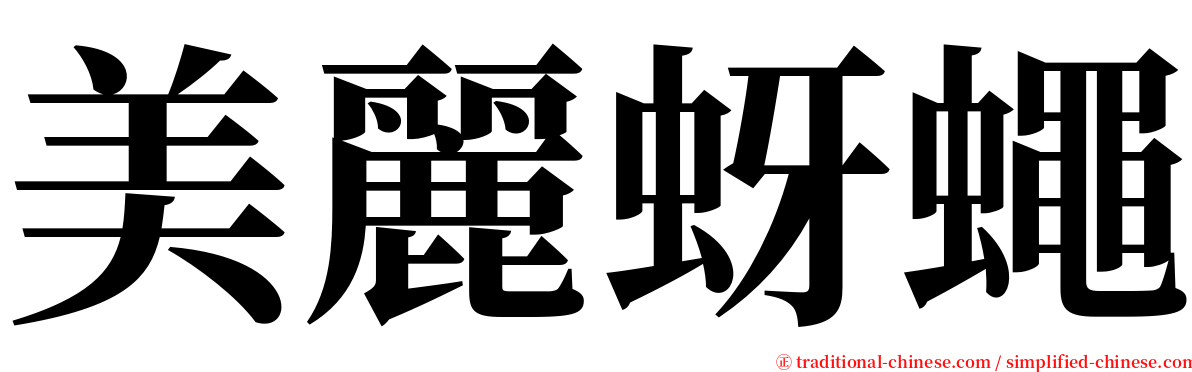 美麗蚜蠅 serif font