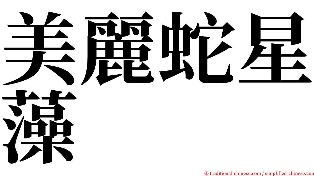 美麗蛇星藻 serif font