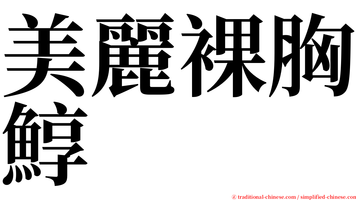 美麗裸胸鯙 serif font