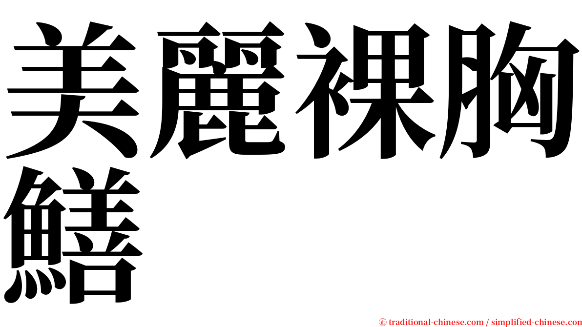 美麗裸胸鱔 serif font