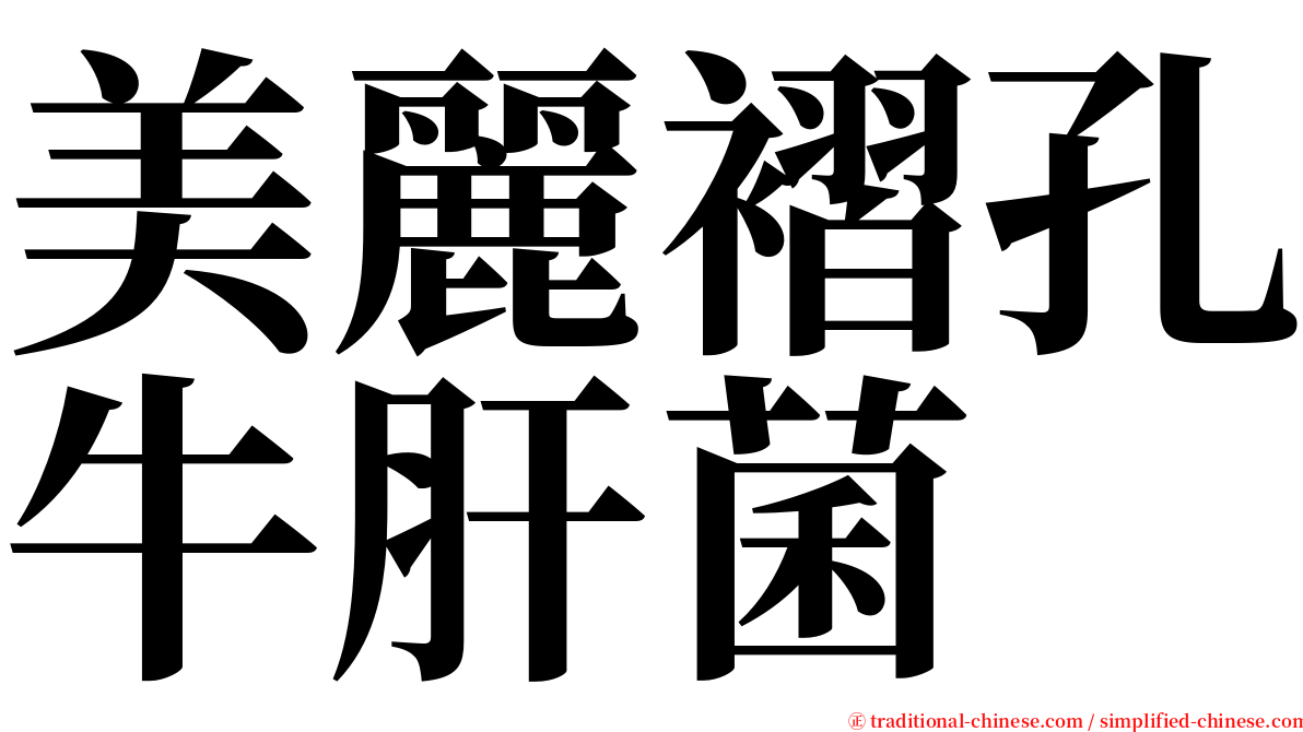 美麗褶孔牛肝菌 serif font