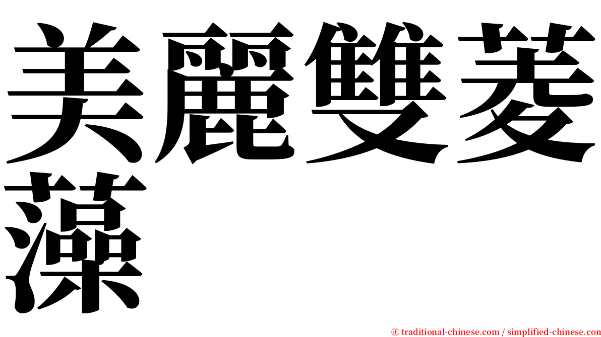 美麗雙菱藻 serif font