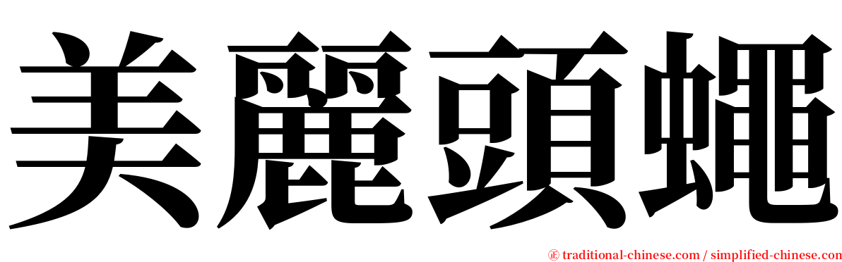 美麗頭蠅 serif font