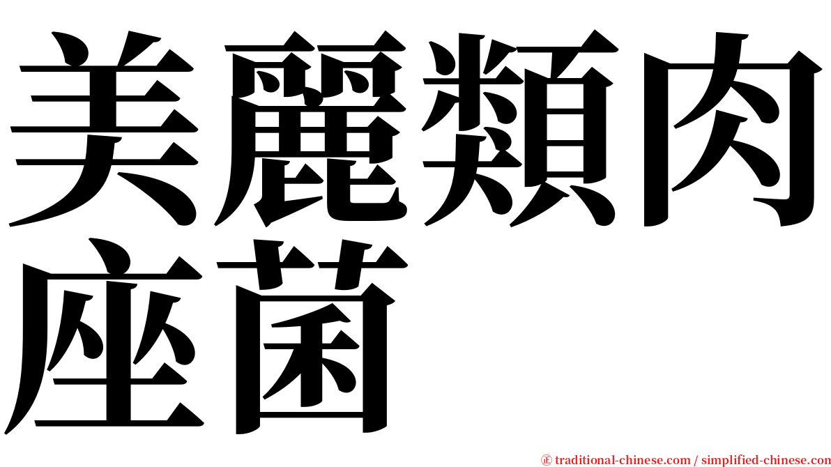 美麗類肉座菌 serif font