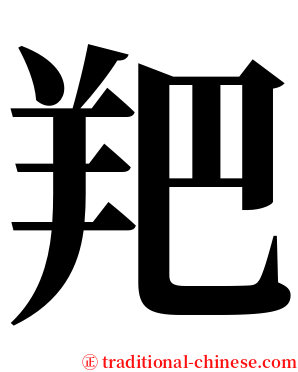 羓 serif font