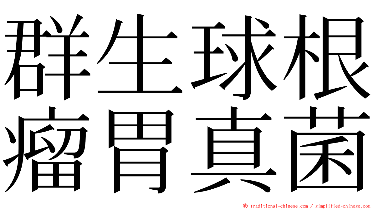 群生球根瘤胃真菌 ming font