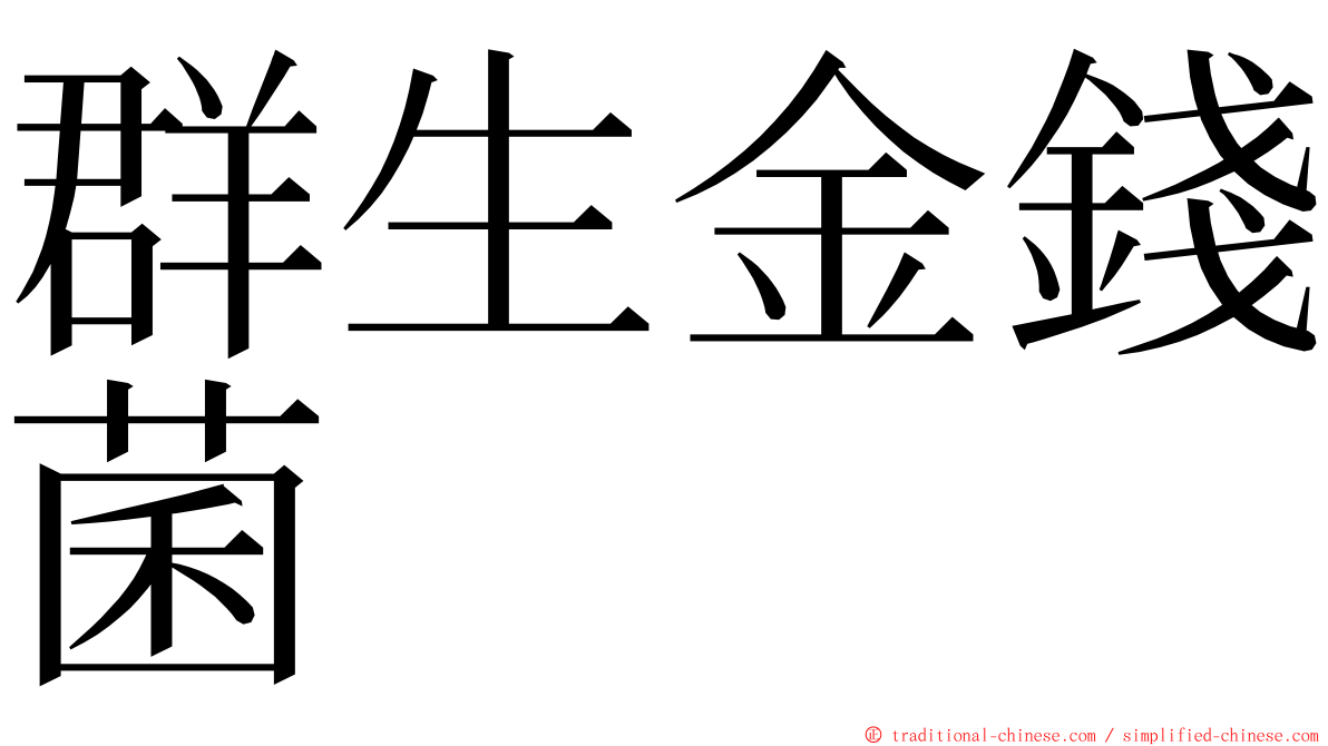 群生金錢菌 ming font
