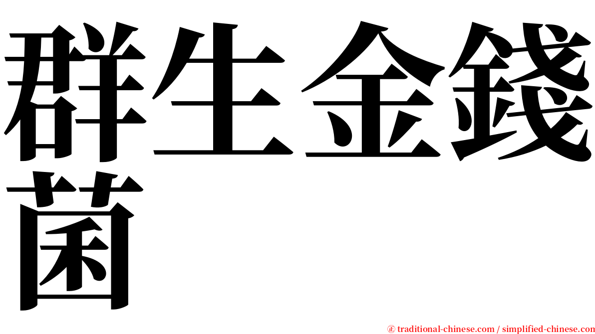 群生金錢菌 serif font