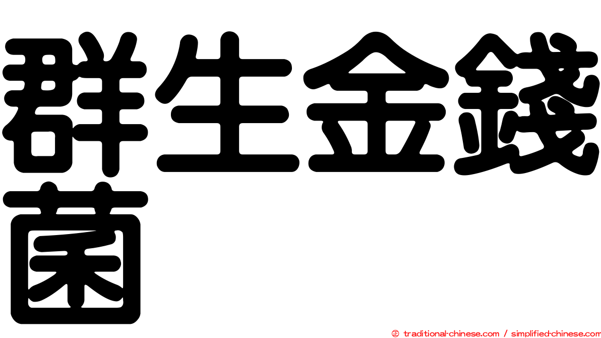 群生金錢菌