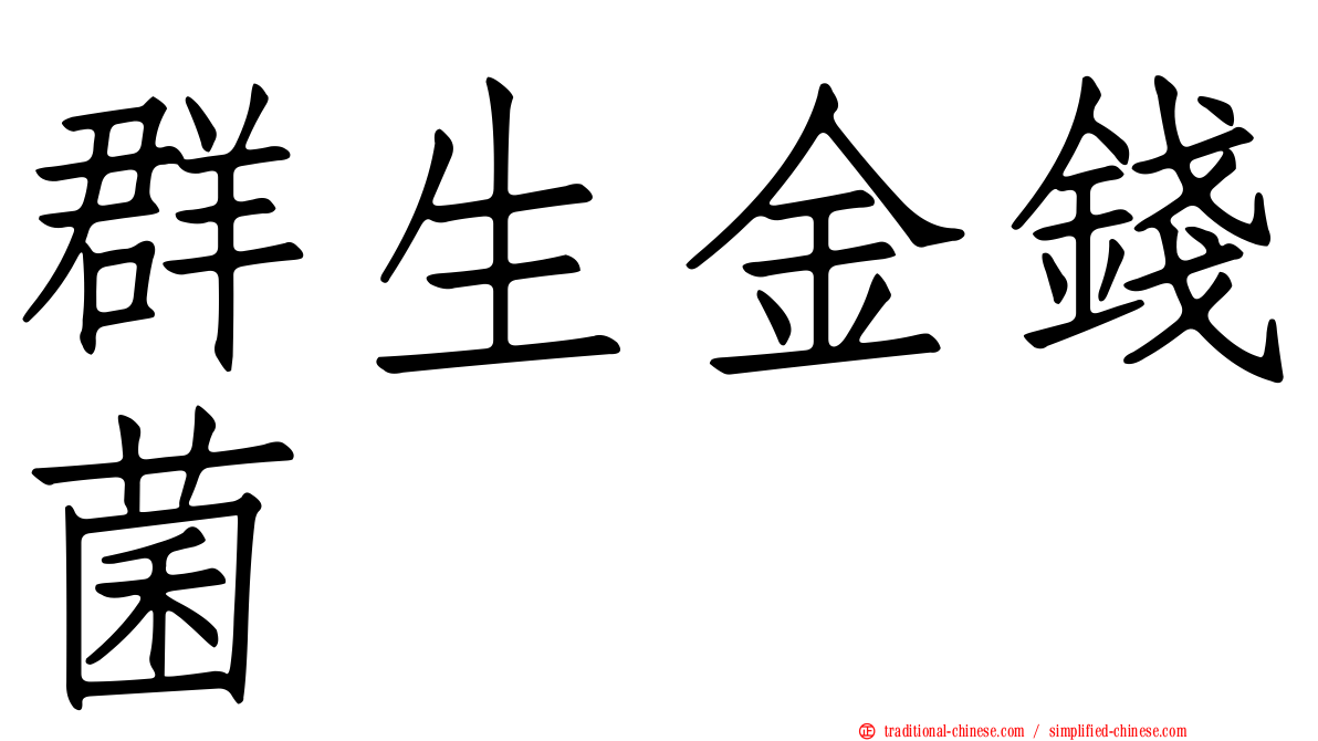 群生金錢菌