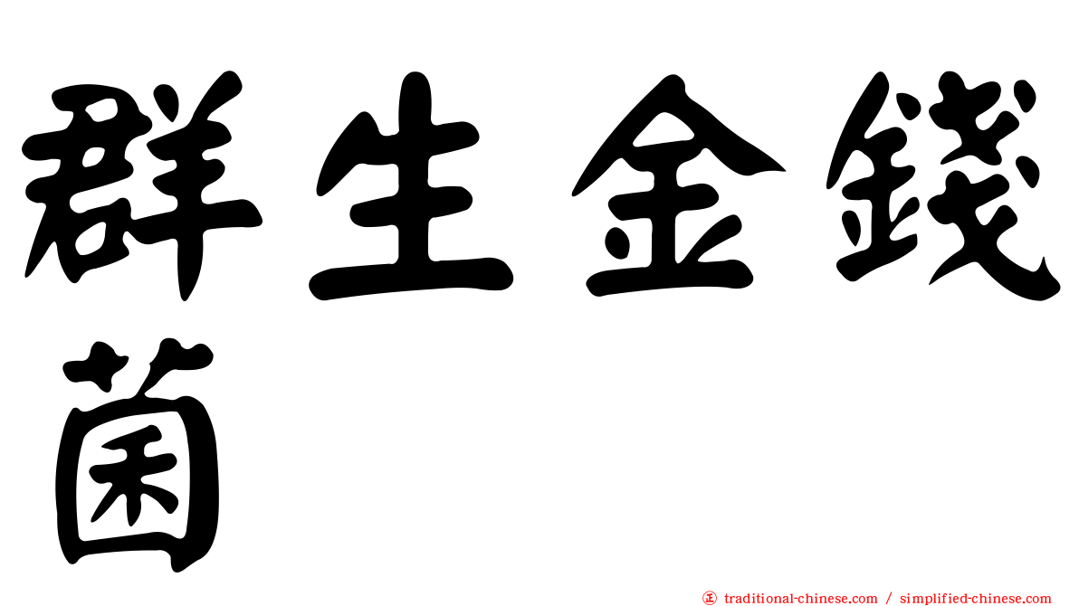 群生金錢菌