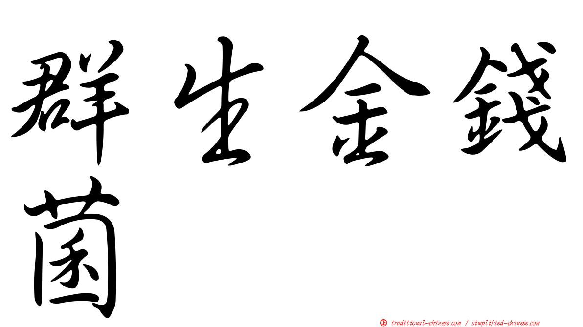 群生金錢菌