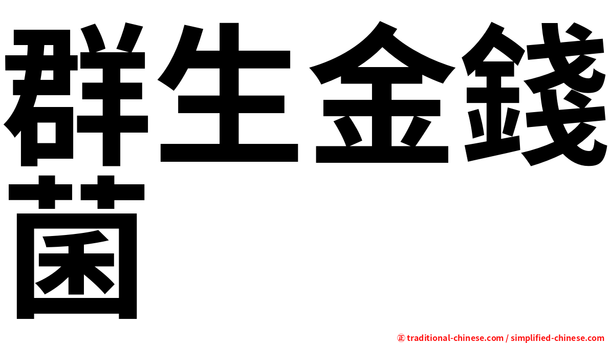 群生金錢菌