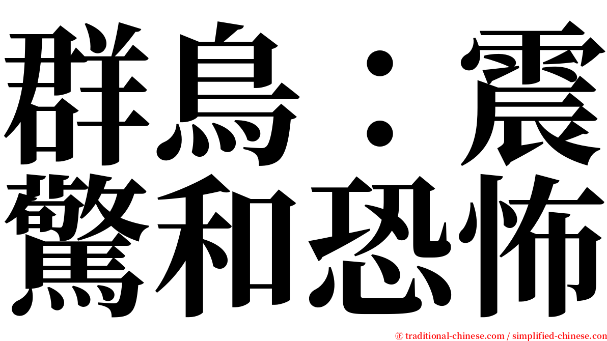 群鳥：震驚和恐怖 serif font