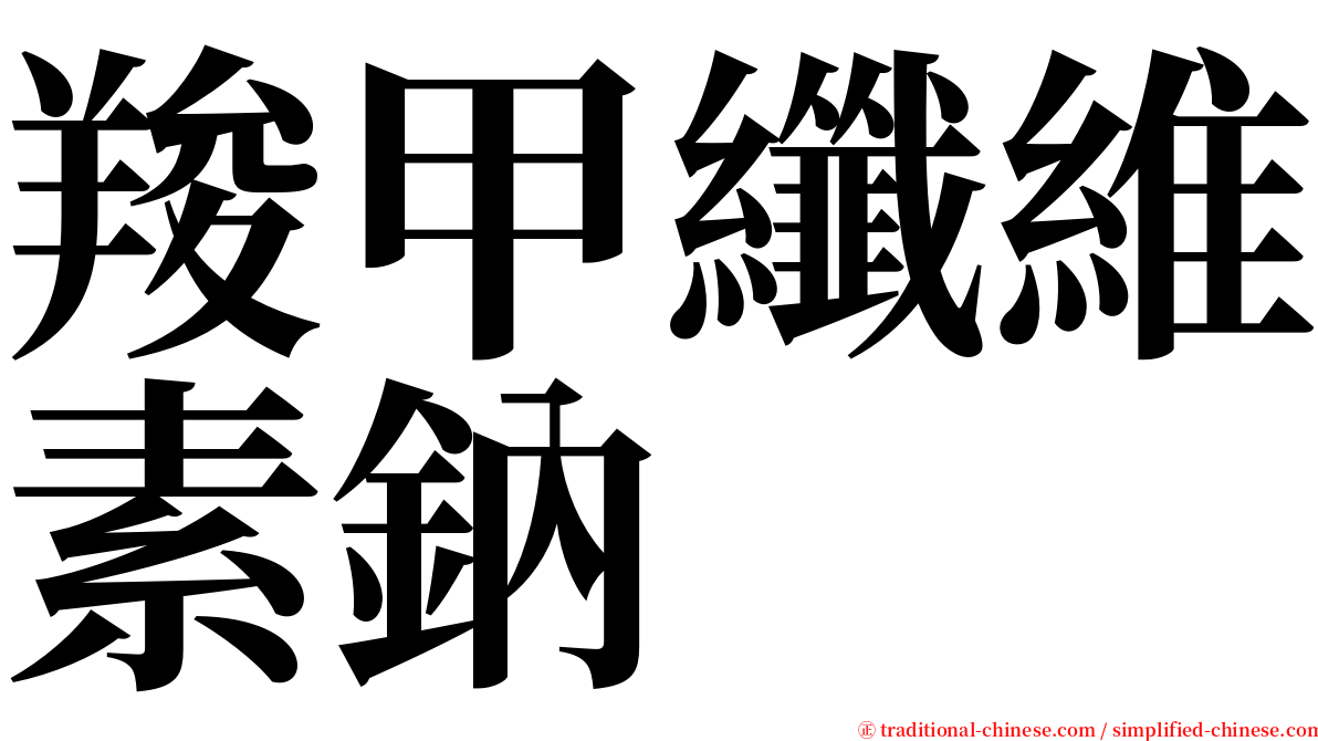 羧甲纖維素鈉 serif font