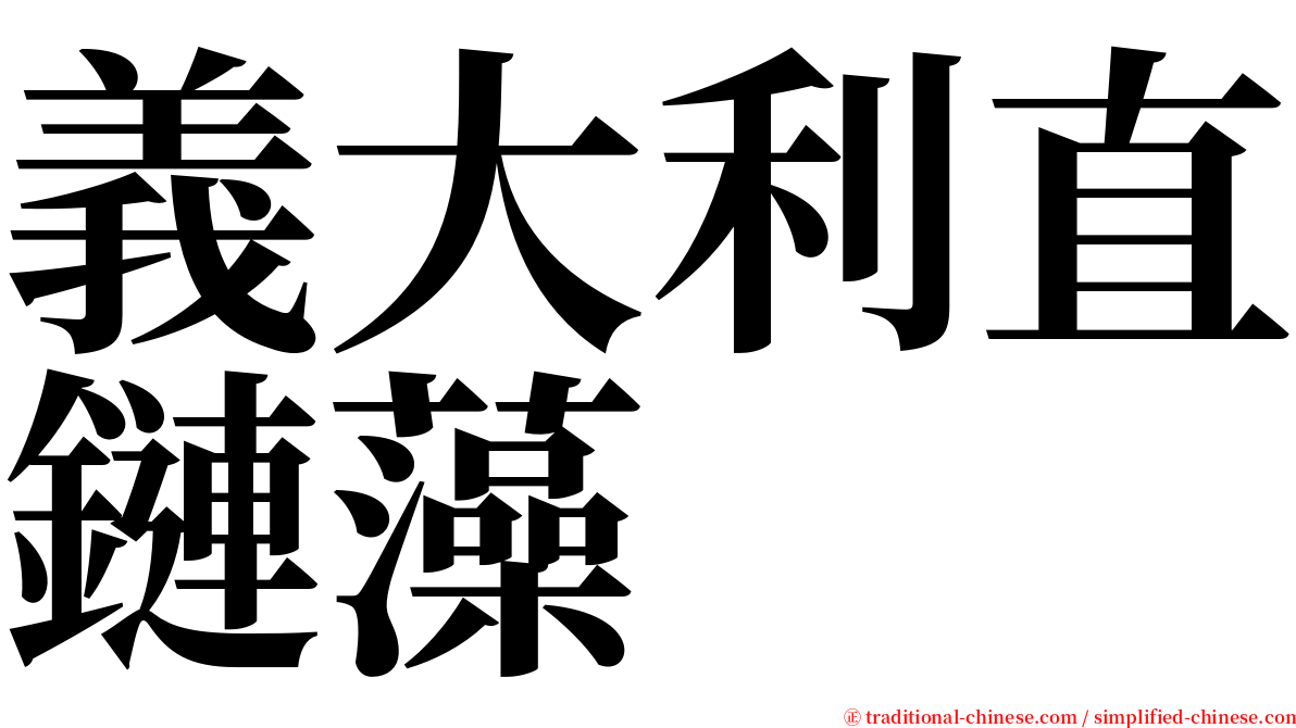 義大利直鏈藻 serif font