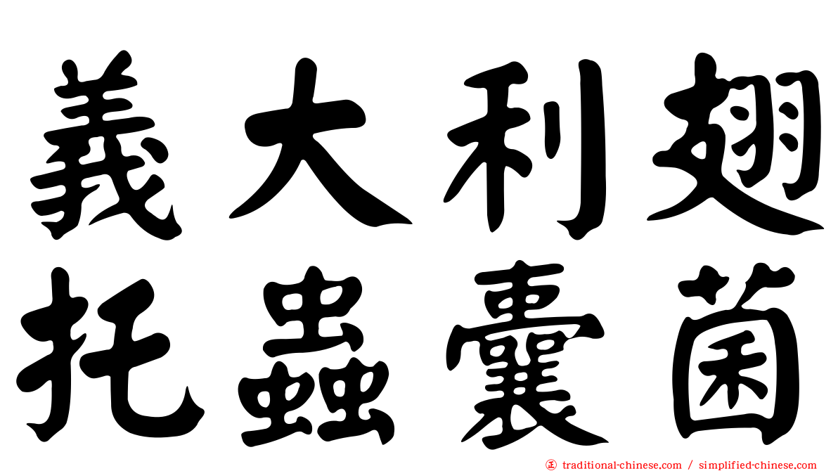 義大利翅托蟲囊菌