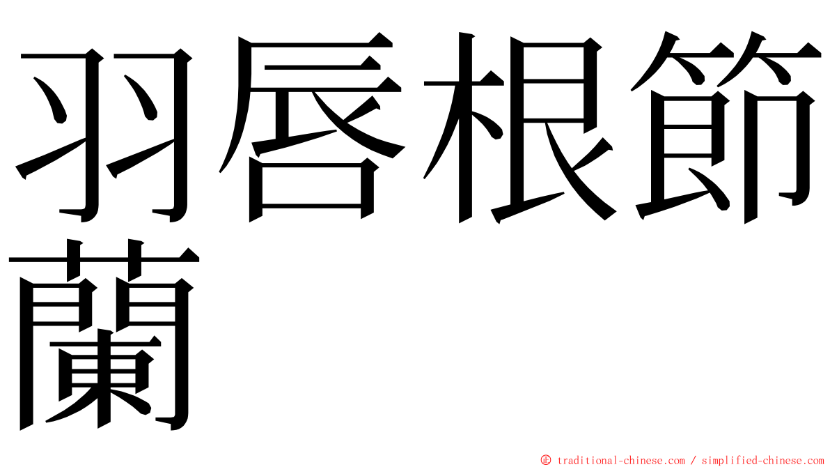 羽唇根節蘭 ming font