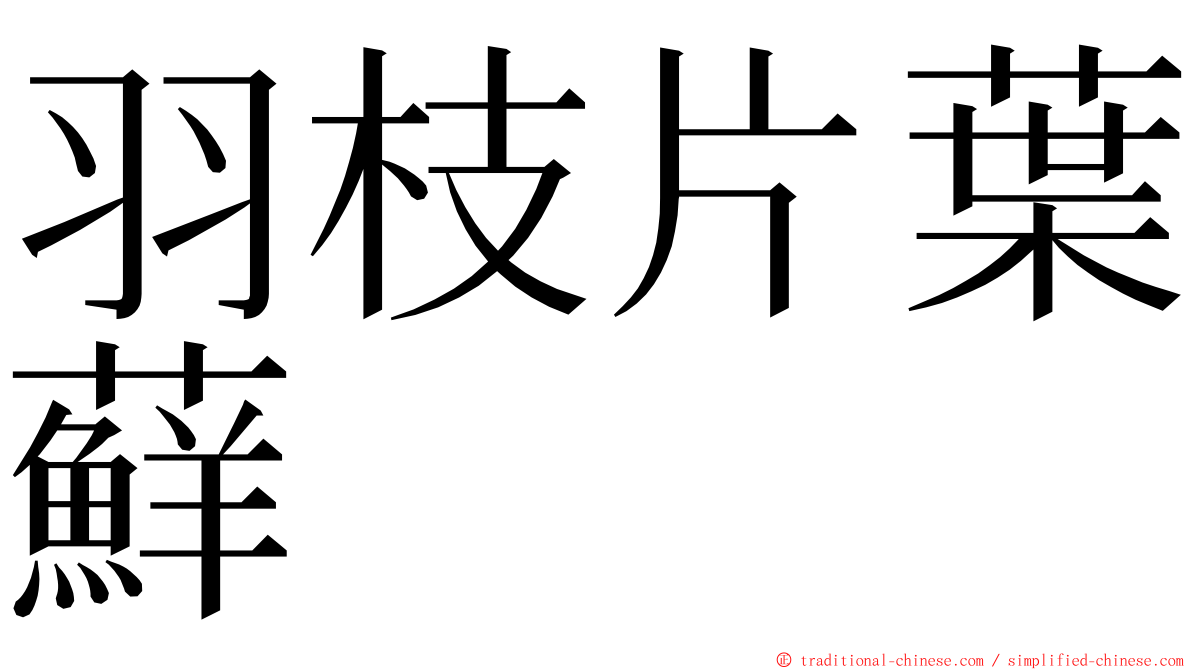 羽枝片葉蘚 ming font