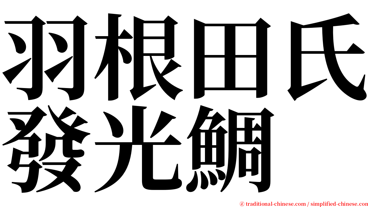 羽根田氏發光鯛 serif font