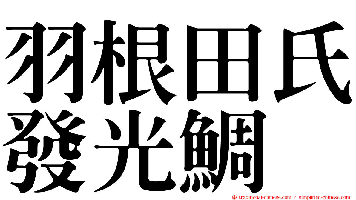 羽根田氏發光鯛