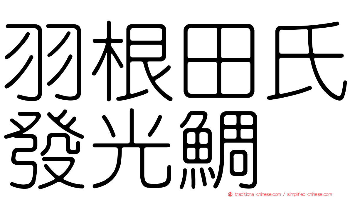 羽根田氏發光鯛