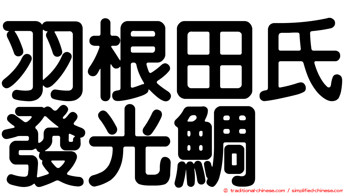 羽根田氏發光鯛