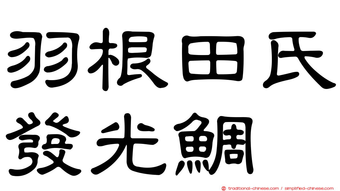 羽根田氏發光鯛