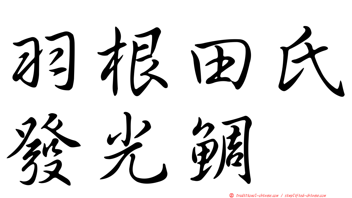 羽根田氏發光鯛