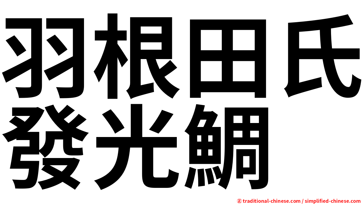 羽根田氏發光鯛