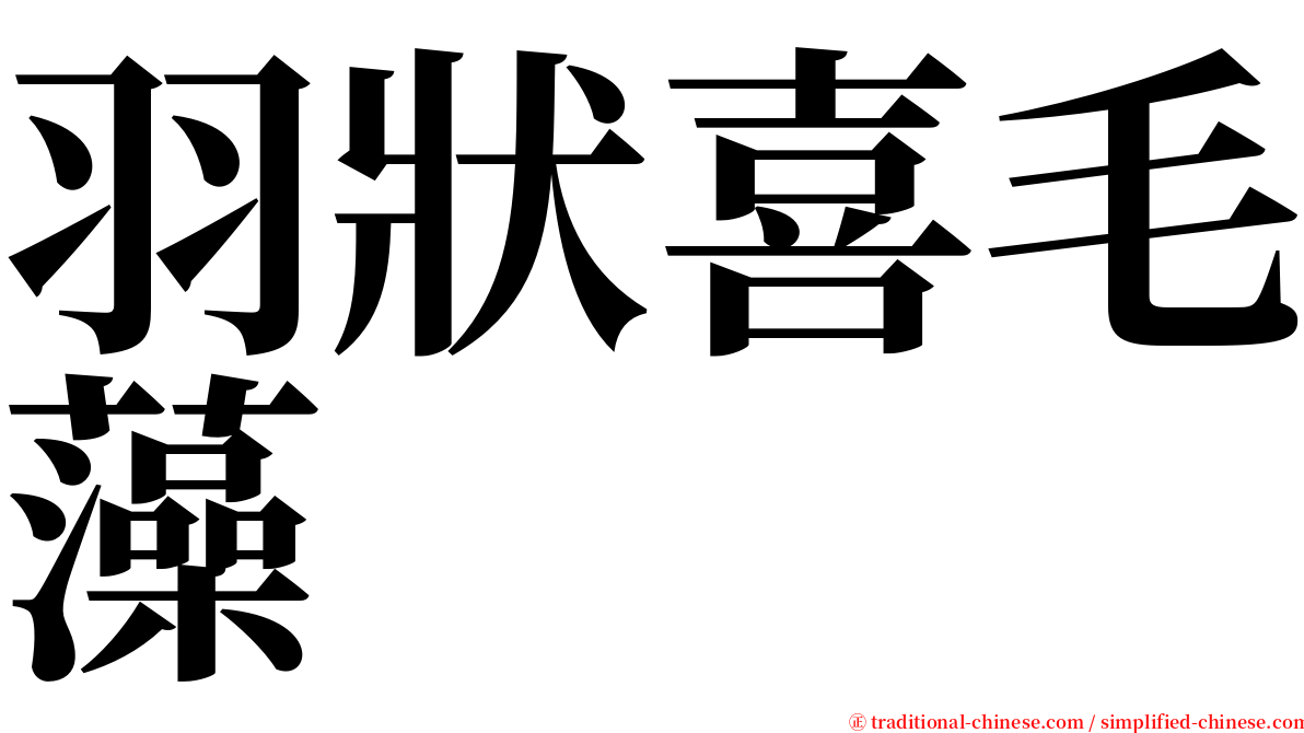 羽狀喜毛藻 serif font