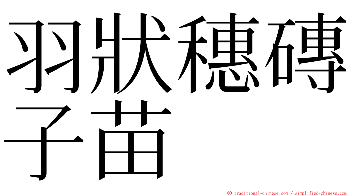 羽狀穗磚子苗 ming font