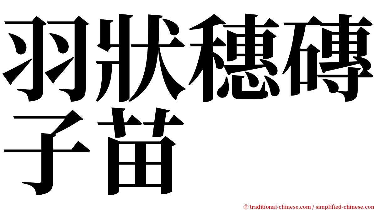 羽狀穗磚子苗 serif font