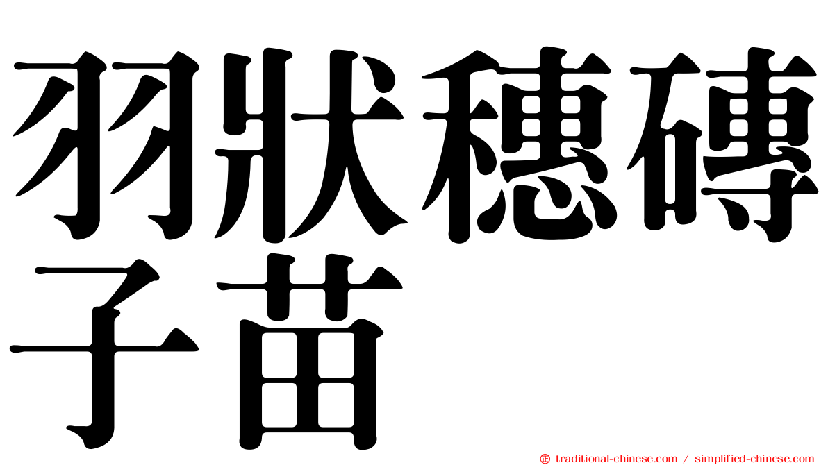 羽狀穗磚子苗
