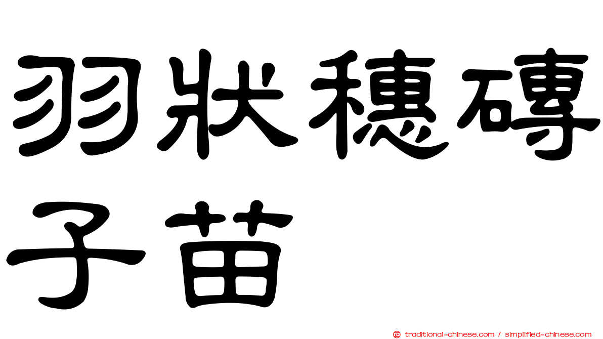 羽狀穗磚子苗