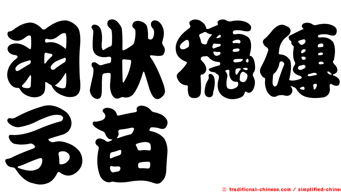 羽狀穗磚子苗