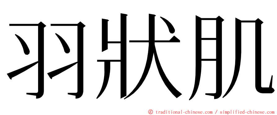 羽狀肌 ming font