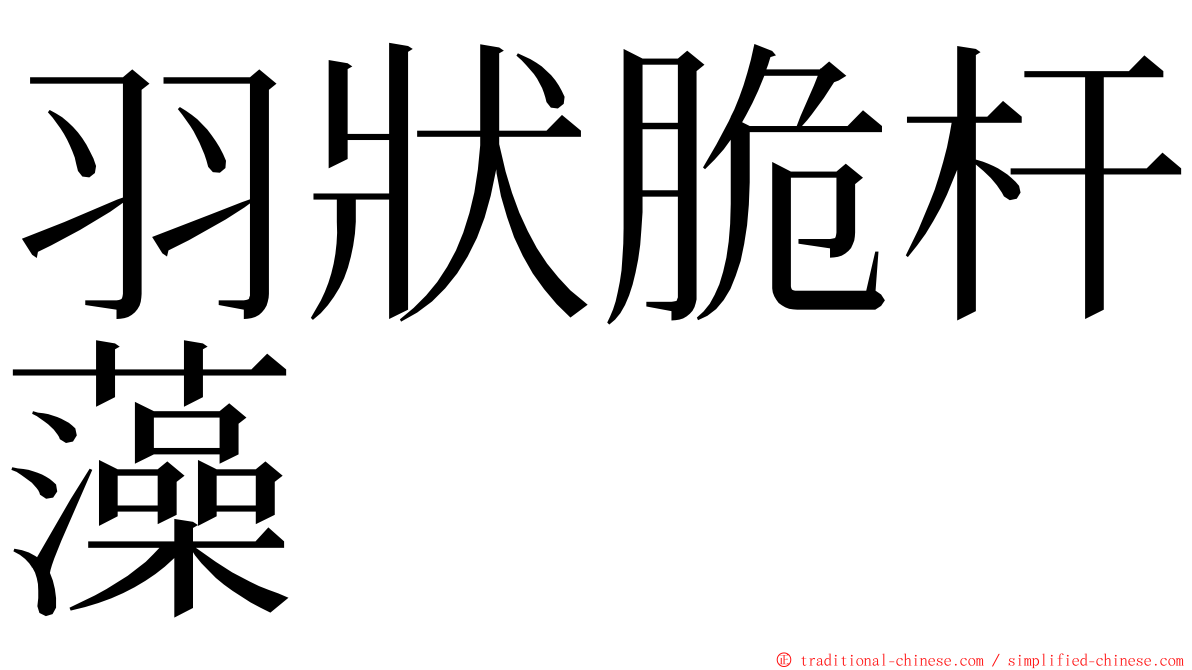 羽狀脆杆藻 ming font