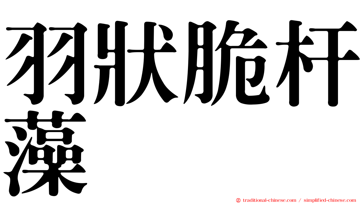 羽狀脆杆藻