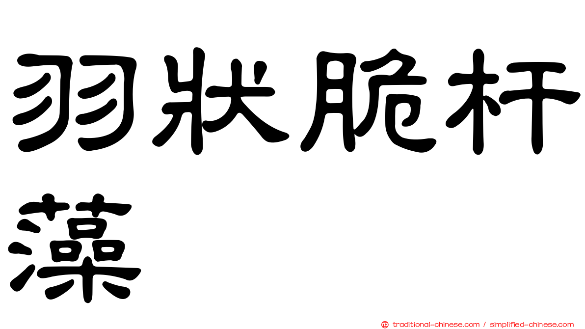 羽狀脆杆藻