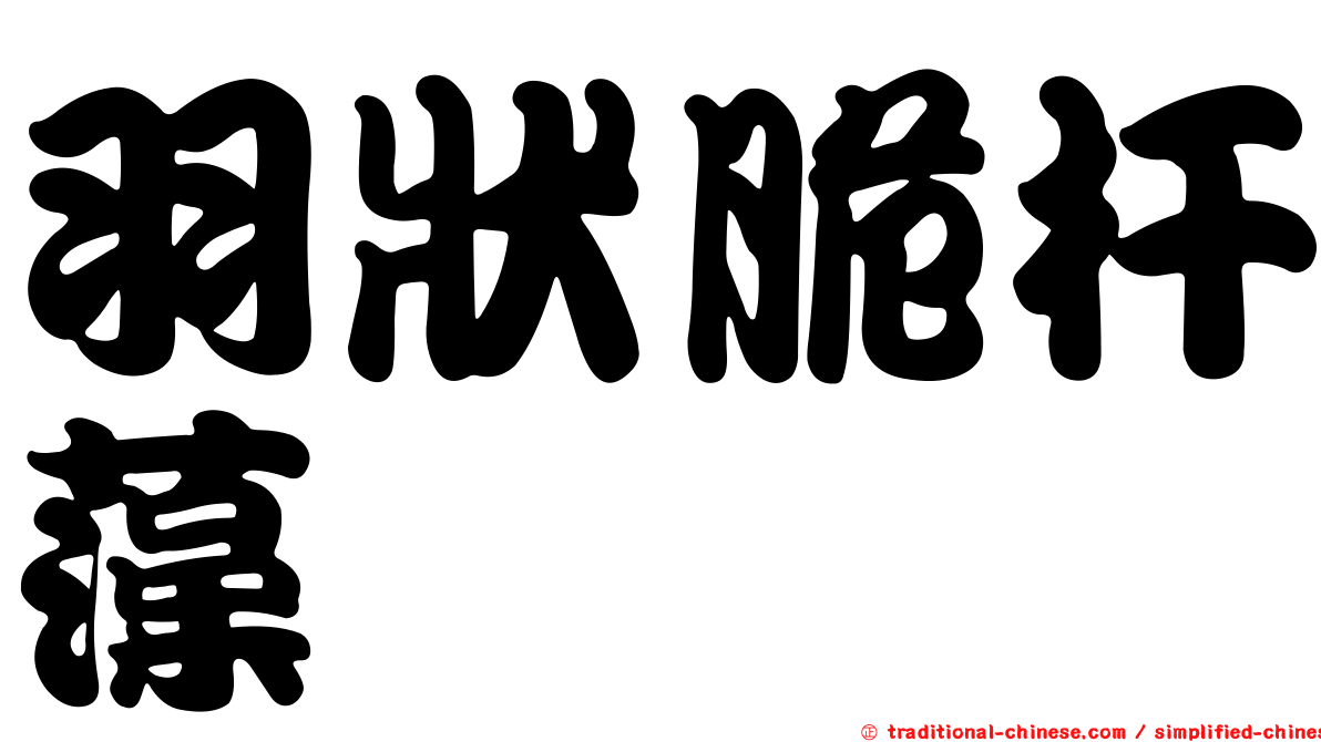 羽狀脆杆藻